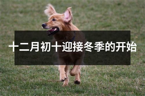 十二月初十迎接冬季的开始