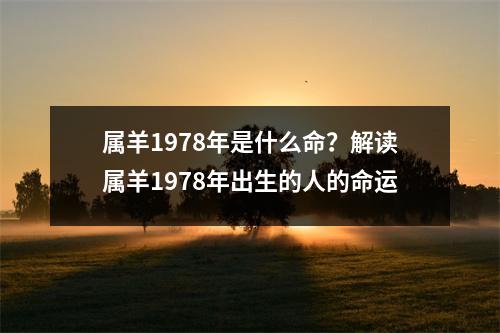 属羊1978年是什么命？解读属羊1978年出生的人的命运