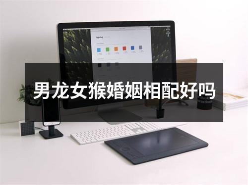 男龙女猴婚姻相配好吗