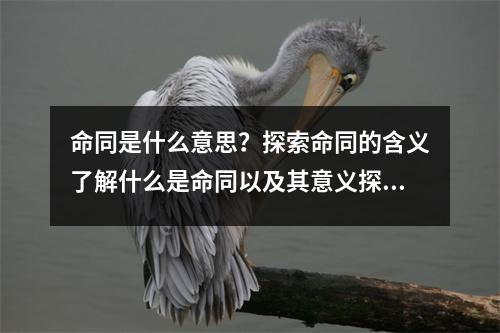 命同是什么意思？探索命同的含义了解什么是命同以及其意义探索命同的概念与含义