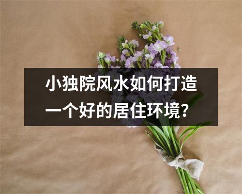 小独院风水如何打造一个好的居住环境？