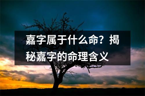 嘉字属于什么命？揭秘嘉字的命理含义