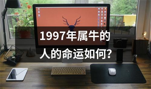 1997年属牛的人的命运如何？