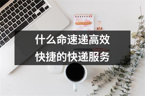 什么命速递高效快捷的快递服务