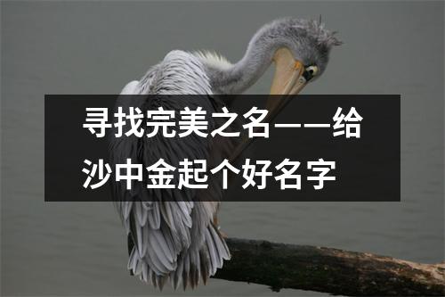 寻找完美之名——给沙中金起个好名字