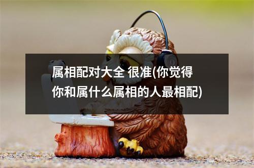 属相配对大全 很准