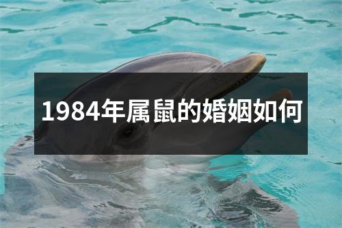 1984年属鼠的婚姻如何