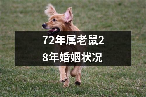 72年属老鼠28年婚姻状况