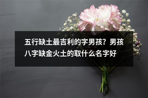 五行缺土最吉利的字男孩？男孩八字缺金火土的取什么名字好