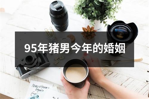 95年猪男今年的婚姻