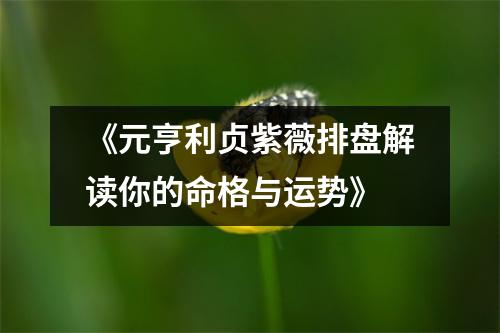 《元亨利贞紫薇排盘解读你的命格与运势》