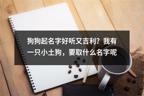 狗狗起名字好听又吉利？我有一只小土狗，要取什么名字呢