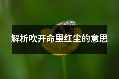 解析吹开命里红尘的意思