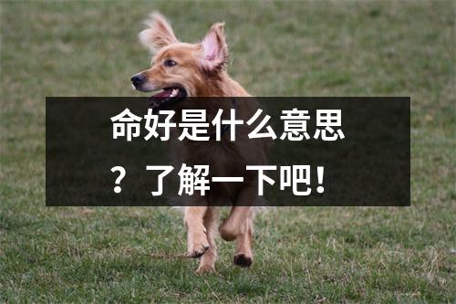 命好是什么意思？了解一下吧！