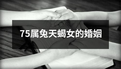 75属兔天蝎女的婚姻