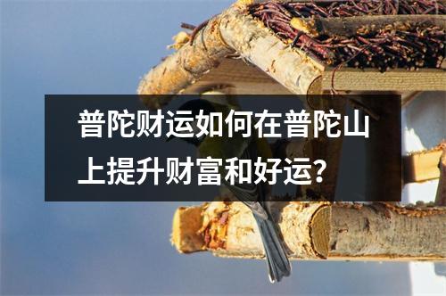 普陀财运如何在普陀山上提升财富和好运？