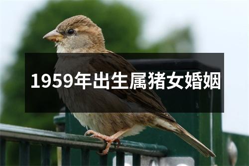 1959年出生属猪女婚姻