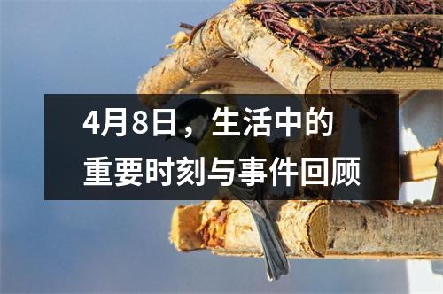 4月8日，生活中的重要时刻与事件回顾