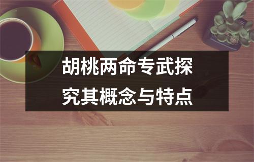 胡桃两命专武探究其概念与特点