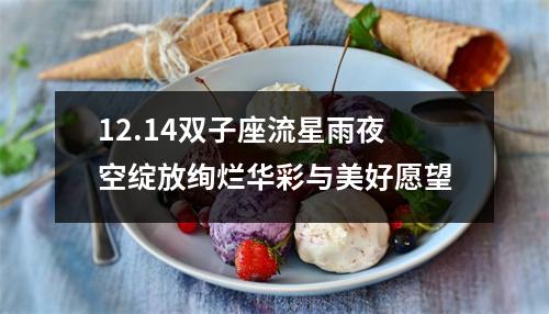 12.14双子座流星雨夜空绽放绚烂华彩与美好愿望
