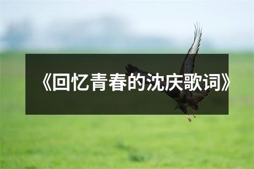 《回忆青春的沈庆歌词》