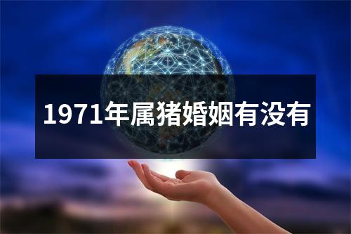 1971年属猪婚姻有没有