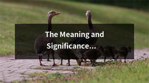 The Meaning and Significance of Your Famy Name Exploring the Origins and History Behind Your Ancestr