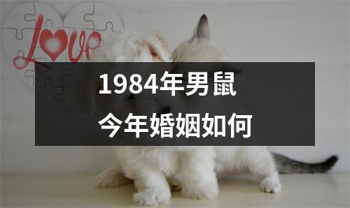 1984年男鼠今年婚姻如何