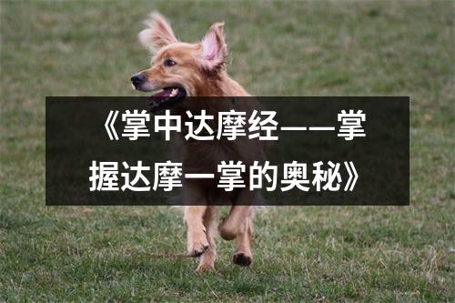 《掌中达摩经——掌握达摩一掌的奥秘》