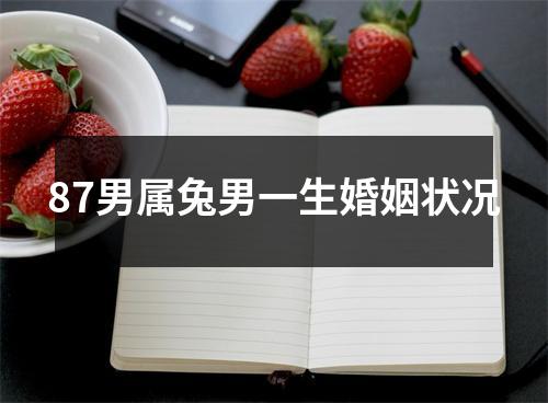 87男属兔男一生婚姻状况
