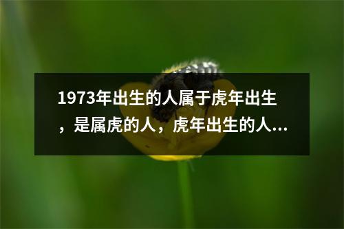 1973年出生的人属于虎年出生，是属虎的人，虎年出生的人通常具有勇敢、自信、独立等特点。