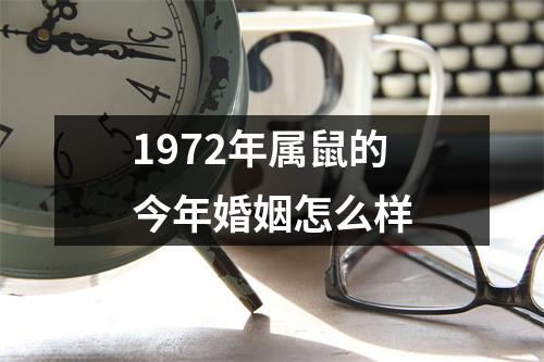 1972年属鼠的今年婚姻怎么样