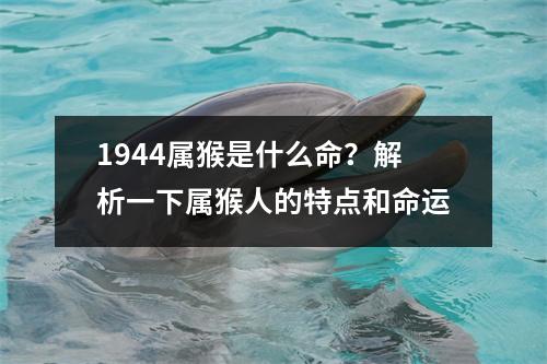 1944属猴是什么命？解析一下属猴人的特点和命运