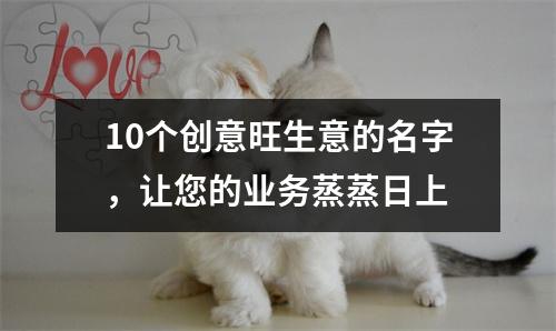 10个创意旺生意的名字，让您的业务蒸蒸日上