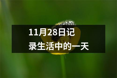 11月28日记录生活中的一天