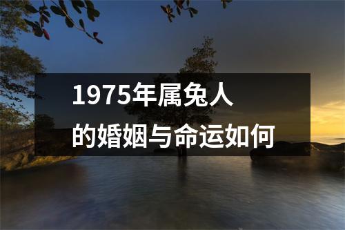 1975年属兔人的婚姻与命运如何