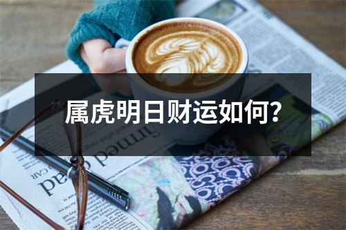 属虎明日财运如何？