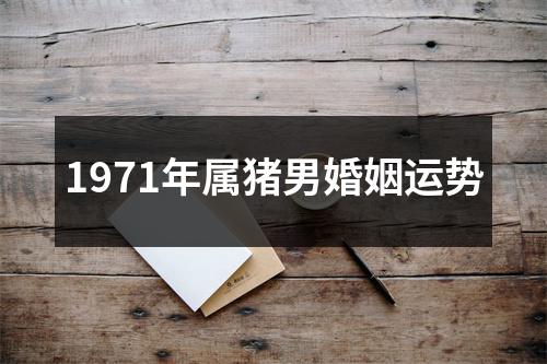 1971年属猪男婚姻运势