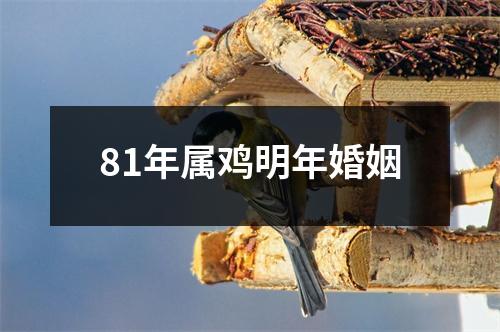 81年属鸡明年婚姻