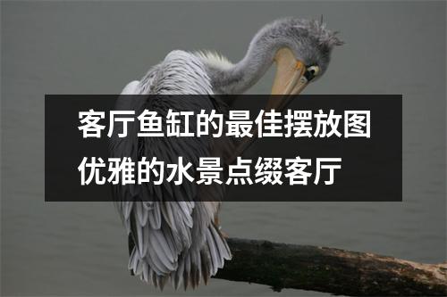 客厅鱼缸的最佳摆放图优雅的水景点缀客厅
