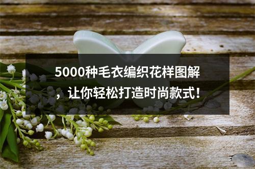 5000种毛衣编织花样图解，让你轻松打造时尚款式！