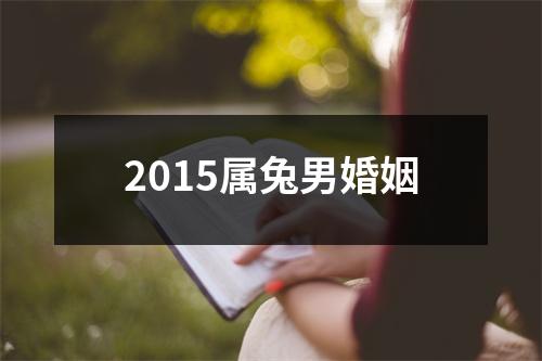2015属兔男婚姻