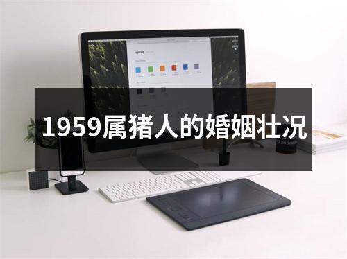 1959属猪人的婚姻壮况