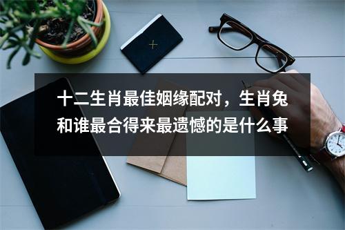 十二生肖最佳姻缘配对，生肖兔和谁最合得来最遗憾的是什么事