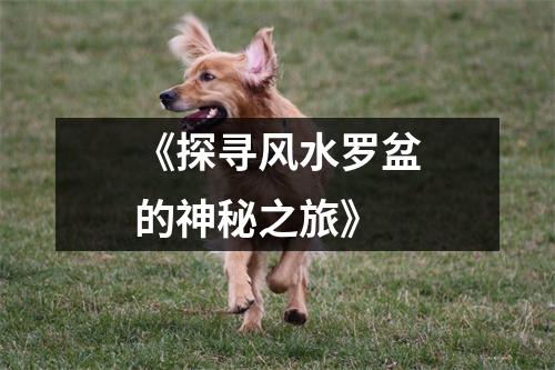 《探寻风水罗盆的神秘之旅》