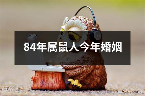 84年属鼠人今年婚姻