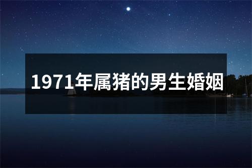 1971年属猪的男生婚姻
