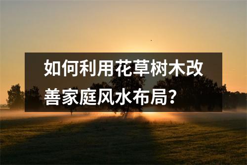 如何利用花草树木改善家庭风水布局？