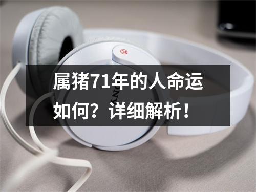 属猪71年的人命运如何？详细解析！