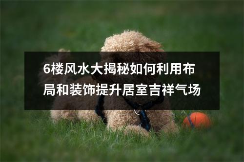 6楼风水大揭秘如何利用布局和装饰提升居室吉祥气场